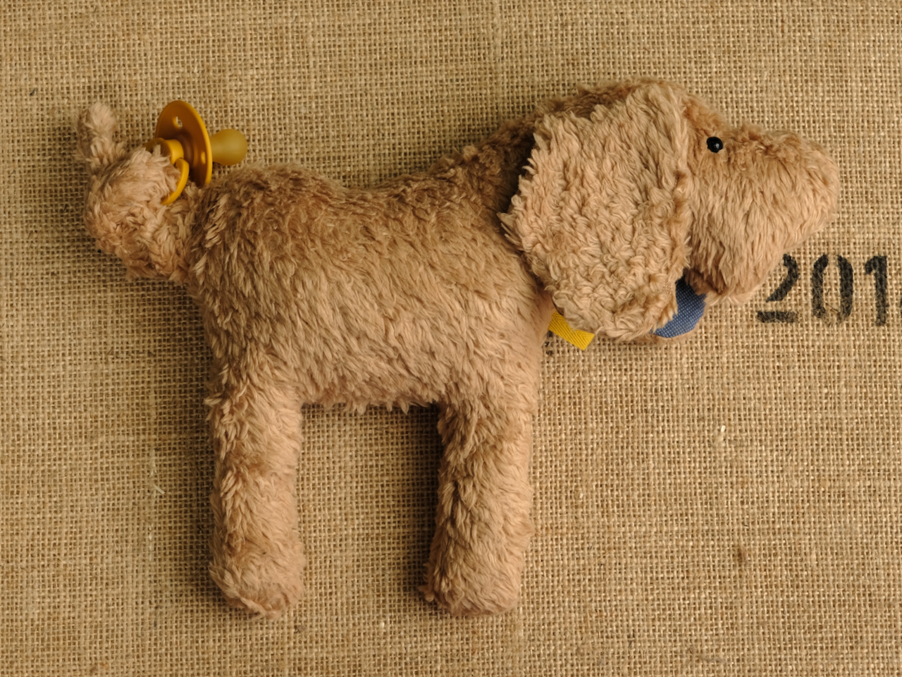 «Johnny» Der Hund in Beigebraun