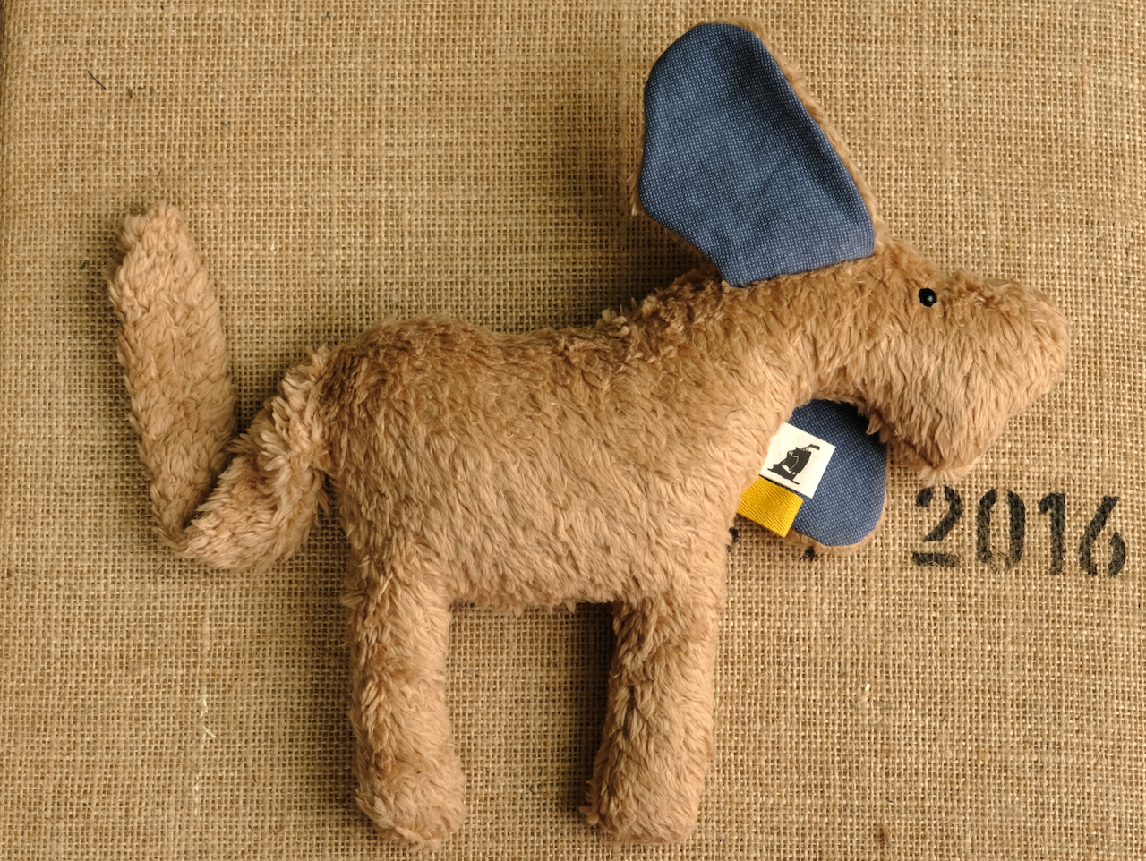 «Johnny» Der Hund in Beigebraun