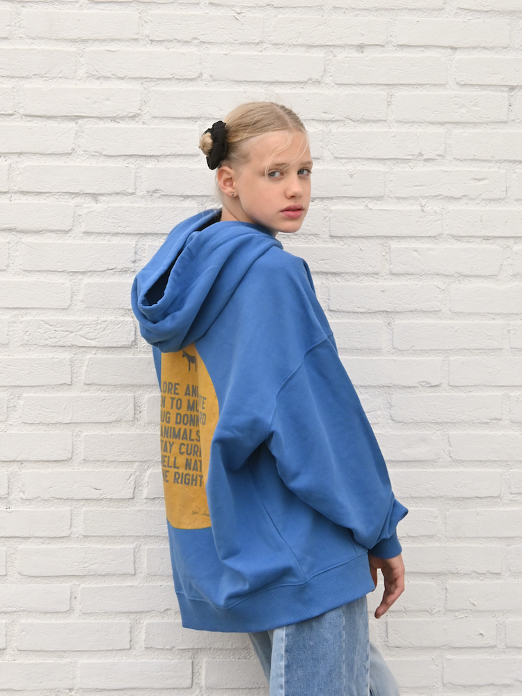 Oversized Hoodie (Bio-Baumwolle)-hug donkeys