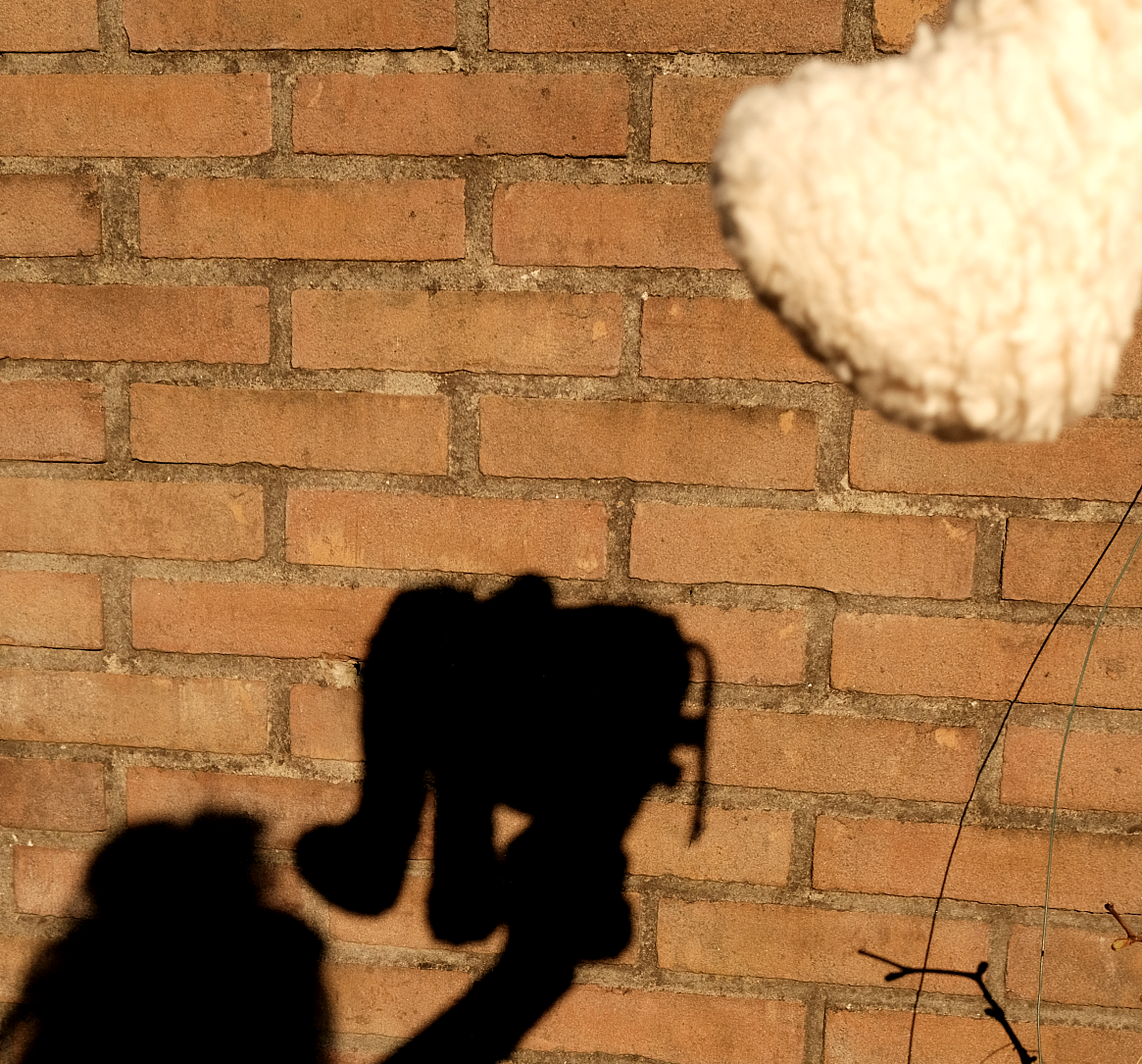 «Bo» Der Elefant in weiß