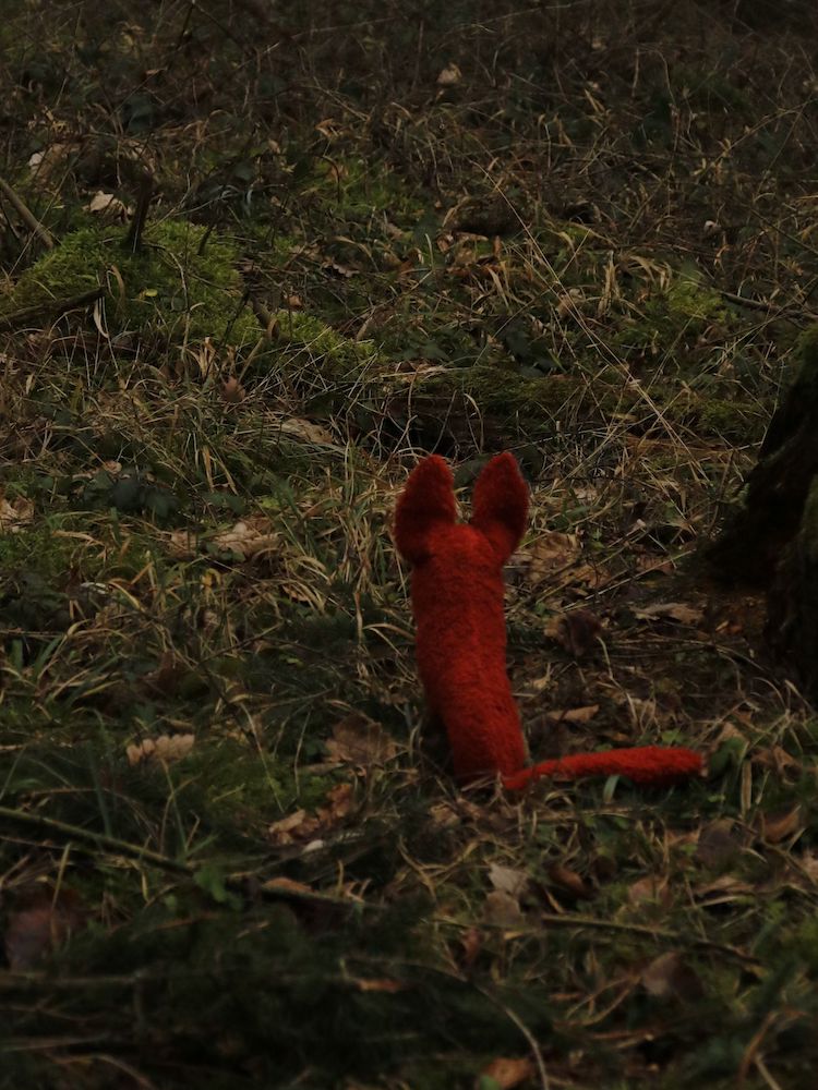 «Lennie» Der Fuchs, Groß in Rostrot
