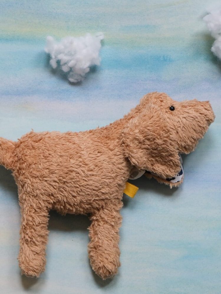 «Johnny» Der Hund in Beigebraun