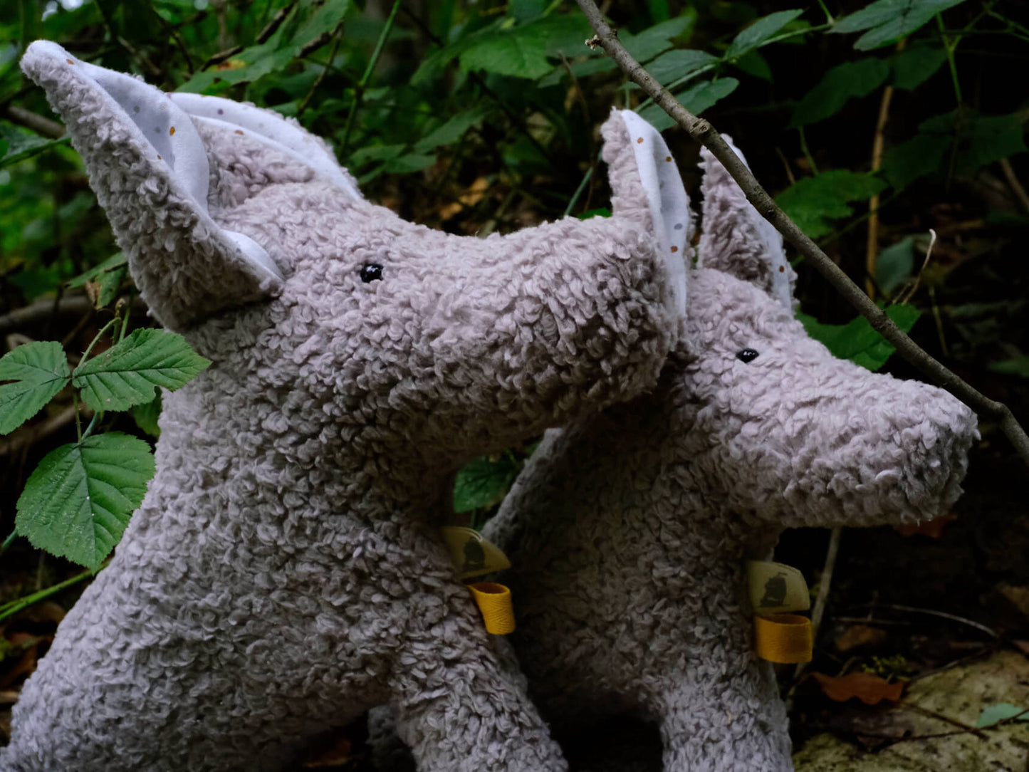 «Louie» Der Wolf in Hellgrau