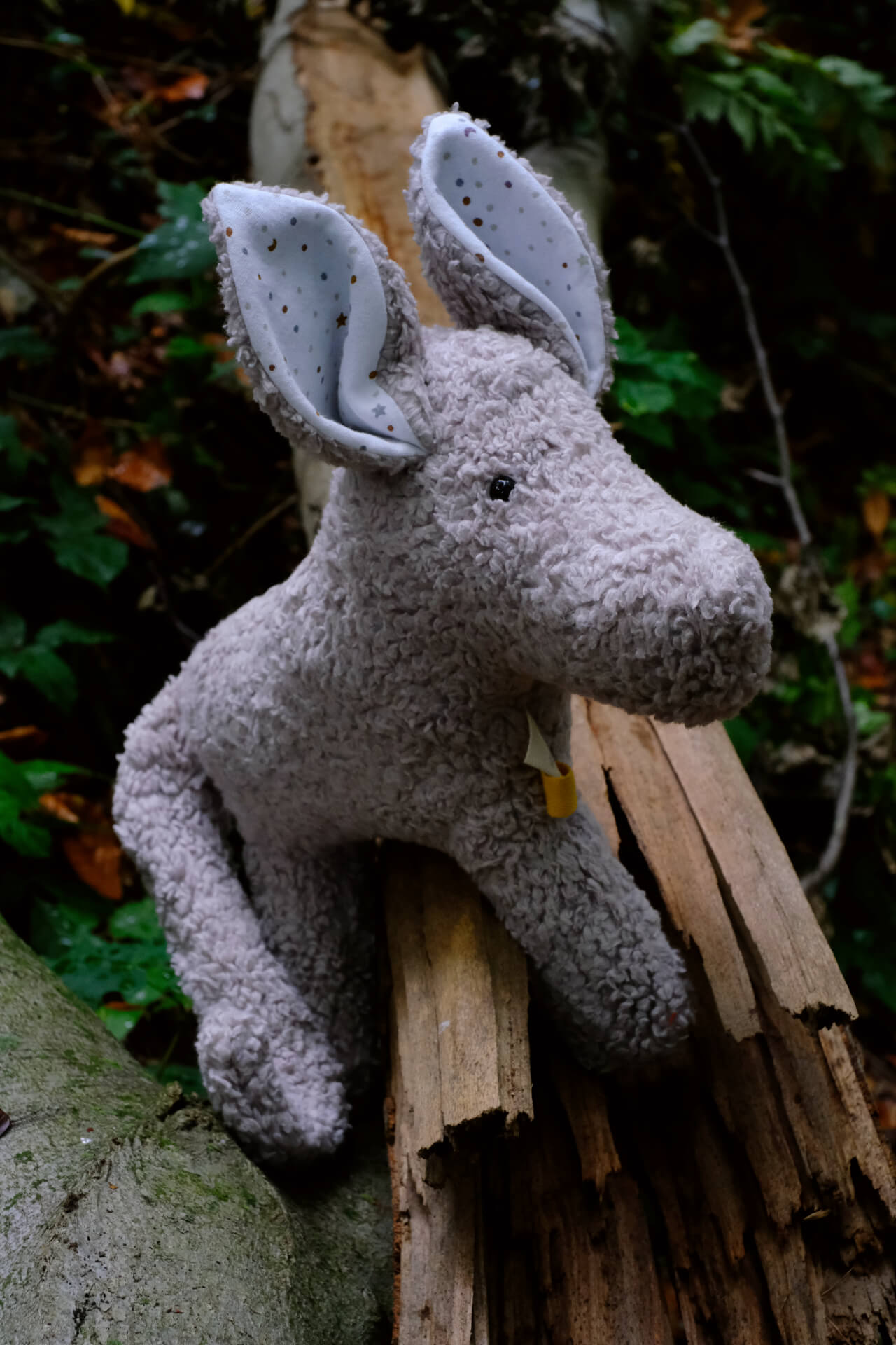 «Louie» Der Wolf, Groß in Hellgrau