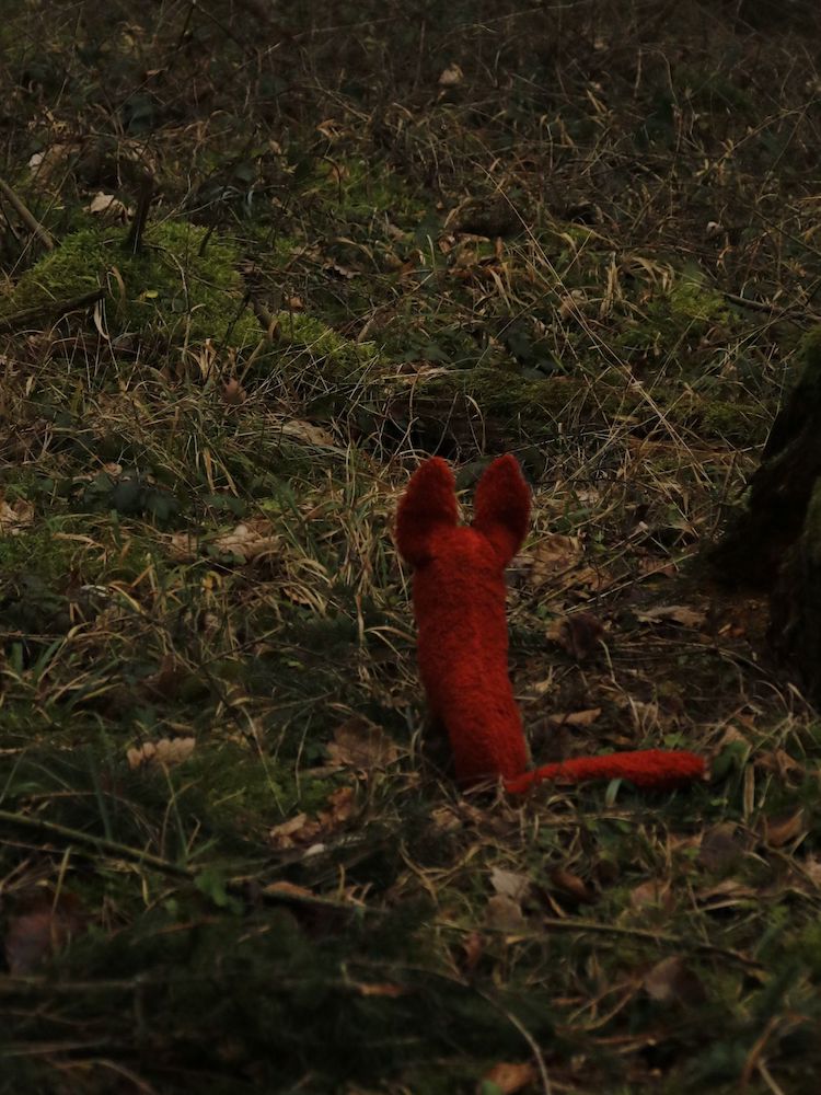 “Lennie” the fox, big in rust red